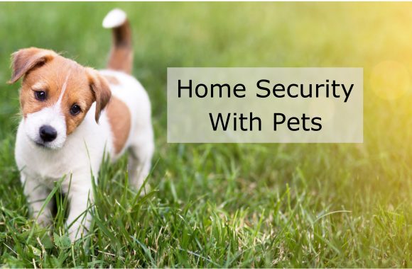 home security with pets